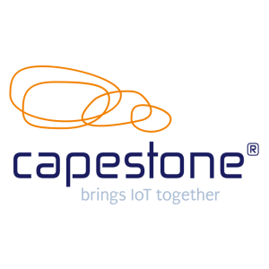 logo Capestone bv